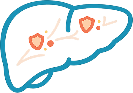 Autoimmune Liver