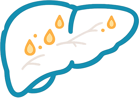 Alcohol-Related Liver