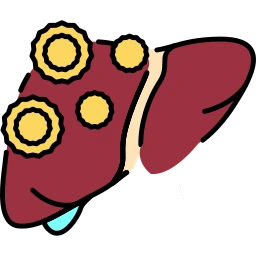 Fatty Liver