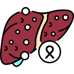 Liver Cancer